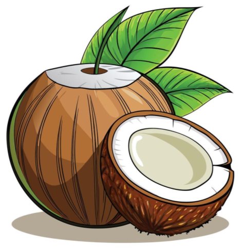 coconut with leaf and half illustration 53951036 Vector Art at Vecteezy